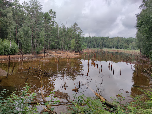 Geopark - stacja K - zapadlisko pokopalniane