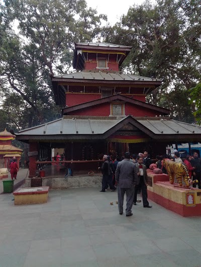Photos of Shiva Stores