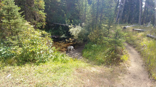 Arrowhead Ranch Cabins - Visual