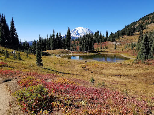 Naches Peak Loop Trail parking - Thumbnail