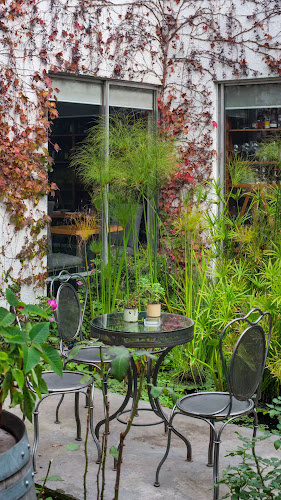Opiniones de Ambrosia Restaurant en Vitacura - Restaurante