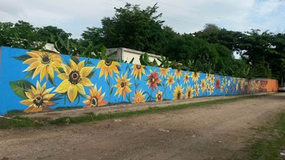Photos of Psychiatric Hospital Padre Billini