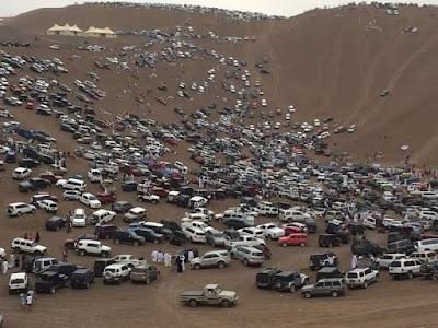 Oman united insurance