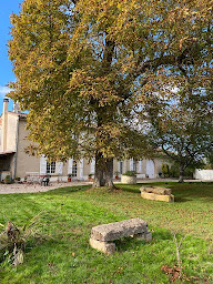 Photo n°2 de Le Jardin dans les vignes à Barsac (Chambre d'hôtes)