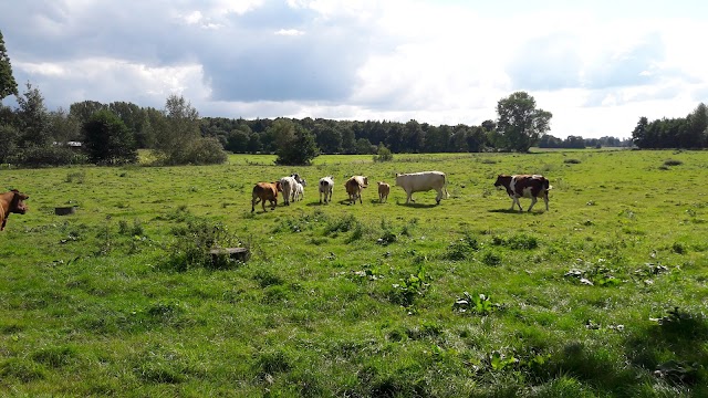 Gut Hanerau