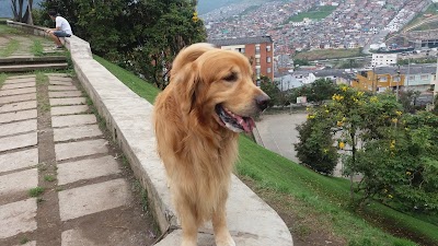 Photos of Parque La Leonora