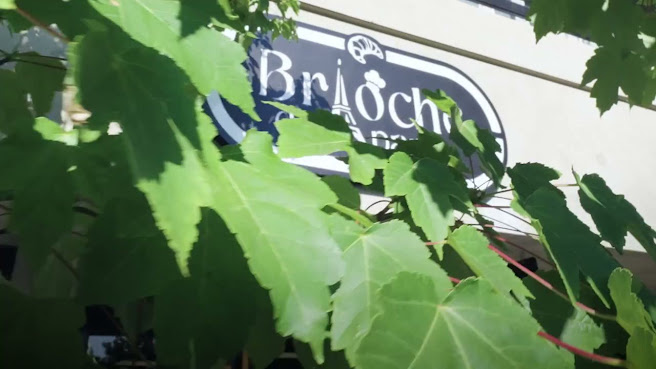 Brioche de Paris by null