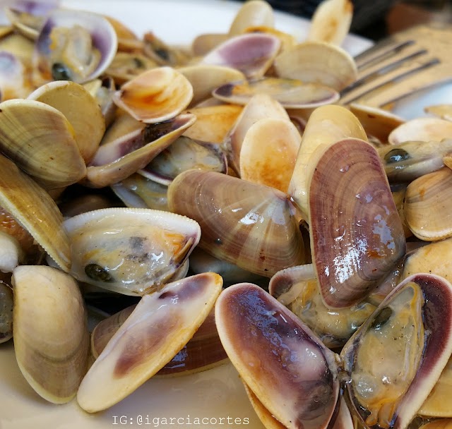 El Marisqueo