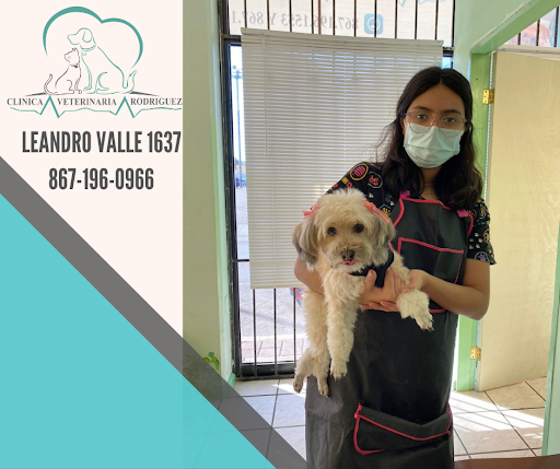 Clínica Veterinaria Rodríguez