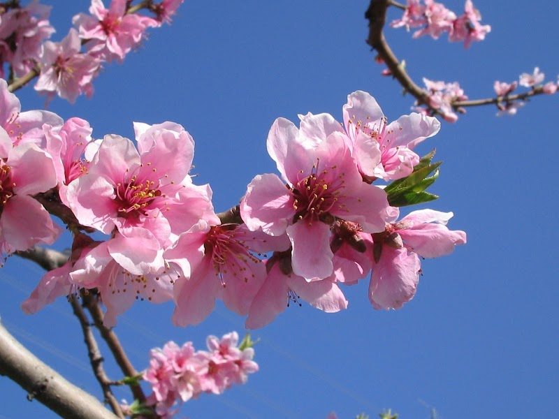 (有)ミト・ワークス