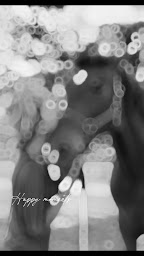 Photo n°13 de Marianne Raffestin Equi Libre à Mirmande (Coach particulier)