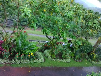 Photos of Tres Generaciones Coffee Shop