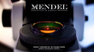 Photos of Laboratorios Mendel
