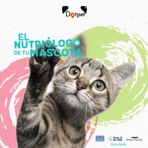 Dotpet - Thumbnail