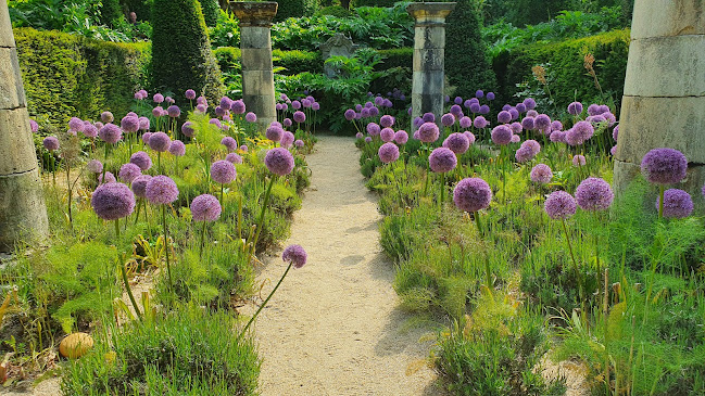 Le Jardin Agapanthe - Rouen