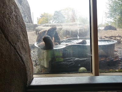 Hippoquarium