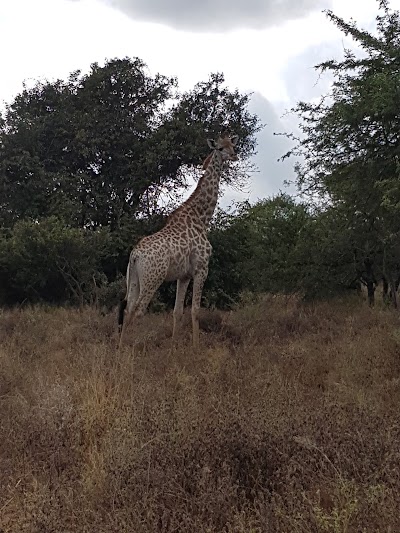 Photos of La Pumba