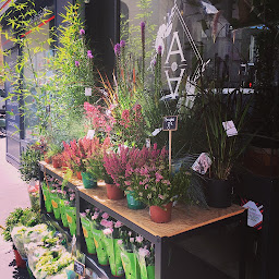 Photo n°40 de L'Atelier d'Aurore à Paris (Fleuriste)