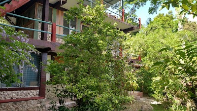 Photos of Zapote tree inn