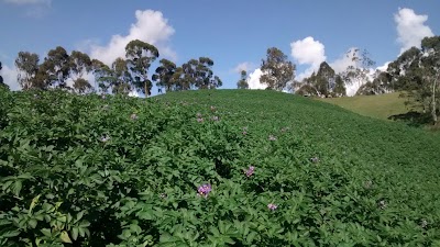 Photos of La Uni&oacute;n Main Park