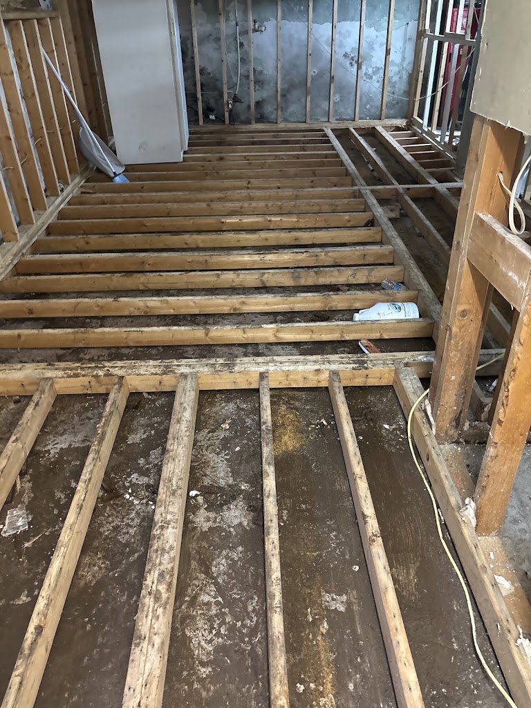 All Dry Services Kansas City photo