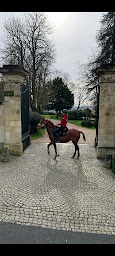 Photo n°6 de Domaine équestre de sainte terre à Sainte-Terre (Centre équestre)