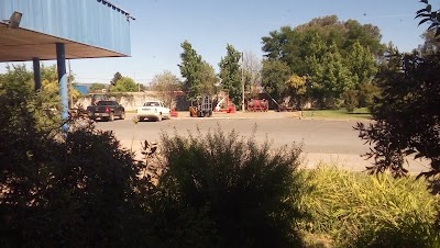 Photos of Copeval Curico