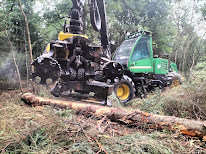 SARL Debove Bois à Beussent