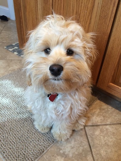Photos of Family Friends Veterinary Hospital