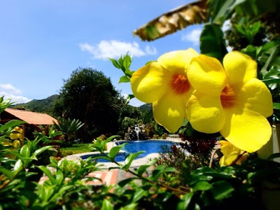 Photos of Hoster&iacute;a Paraiso Vilcabamba