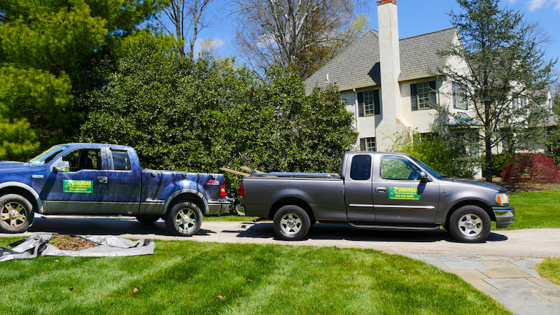 Suburban Lawn and Landscaping