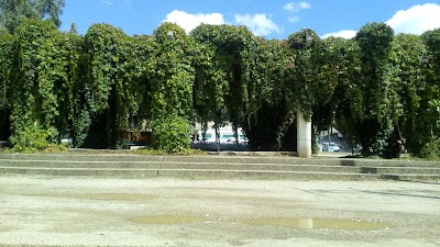 Photos of Cathedral of San Antol&iacute;n