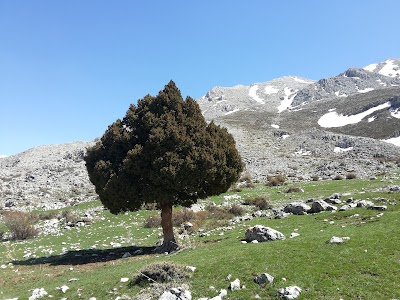 Photos of Arslantaş İlkokulu