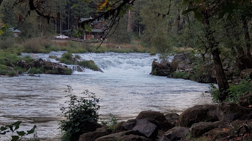 Waterloo falls - Visual