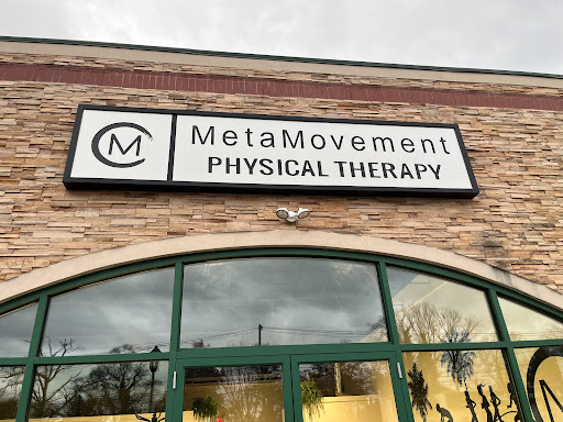 MetaMovement Physical Therapy - Thumbnail