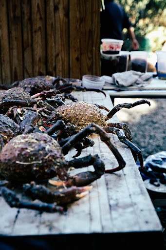 site_photo4