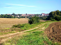 Exalia expertise à Dammartin-en-Goële