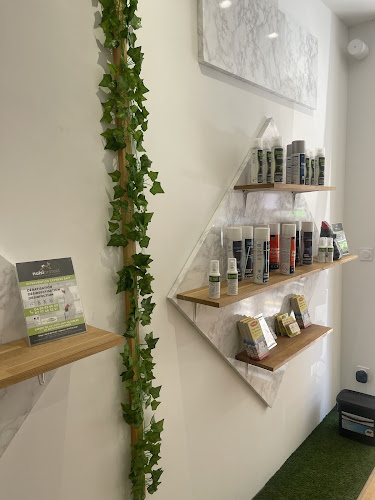 NuisiProtect Dératisation Désinsectisation Désinfection Lyon - Mâcon