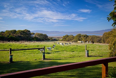 Photos of Coastal View Cabins
