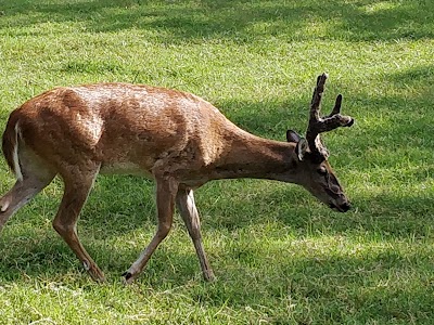 Gadsden Kiwanis Park