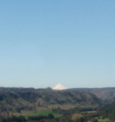 Photos of Huertos Collipulli S.A.