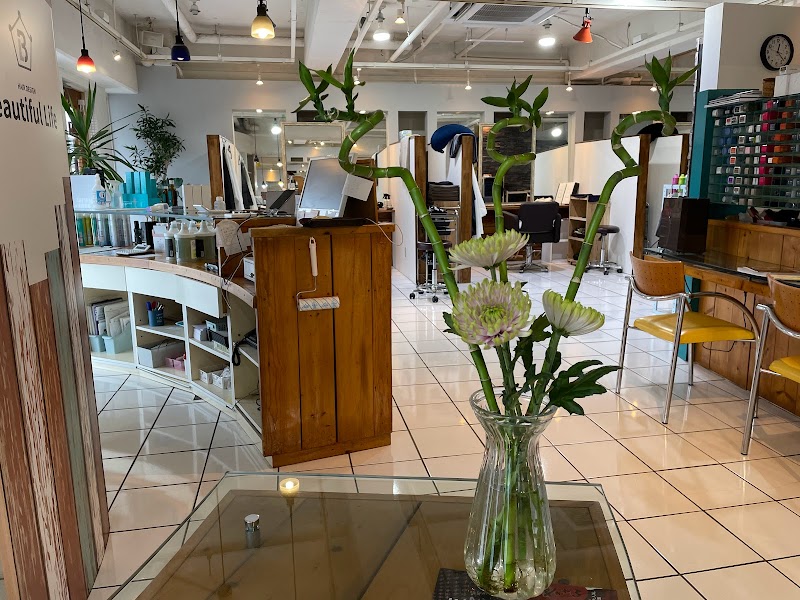 ビューティフルライフ