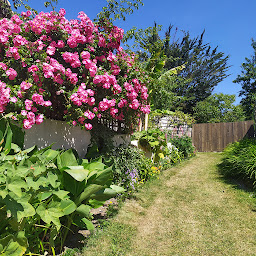 Photo n°9 de Gite Les Arums à Lantic (Gîte)