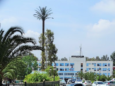 Photos of Nahas Nabil University City