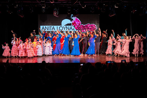 Anita Loynaz Flamenco, Art & Wellness