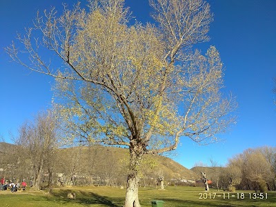 Photos of Hotel Tanit