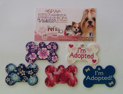 Photos of Pet`s Fashion