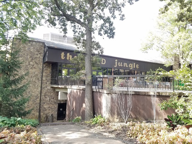 Lied Jungle