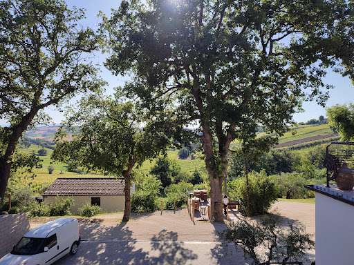 Vicari Vini - Visual
