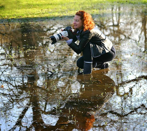 Fotostudio Expression Kassel photo